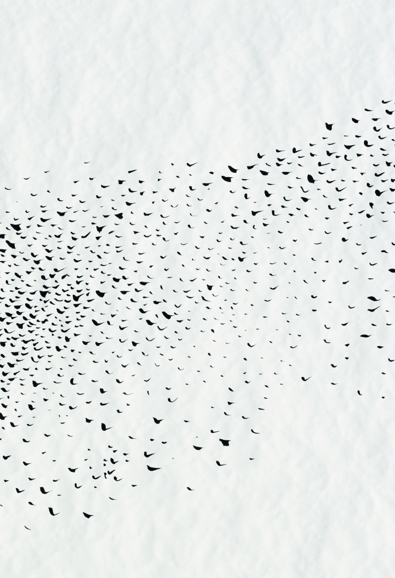 Sophie Marchand, L'échappée belle